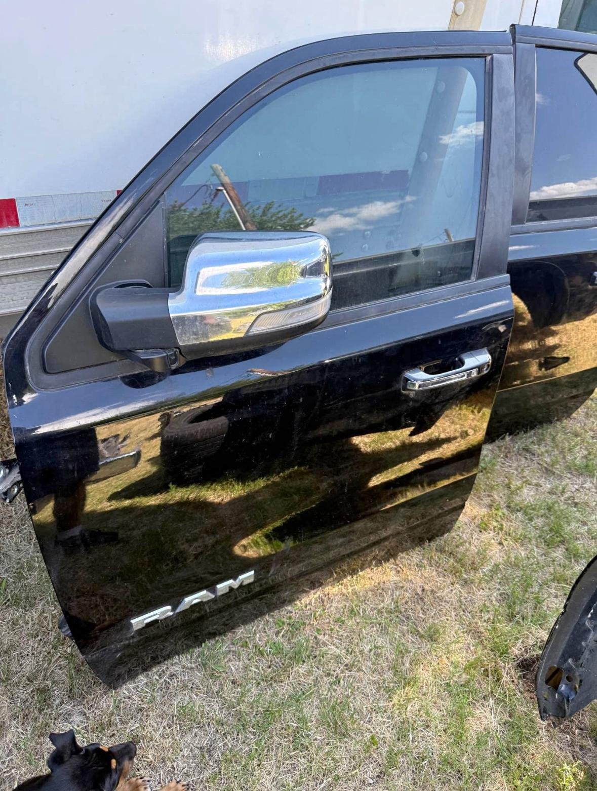 2019-2025 Dodge Ram Doors